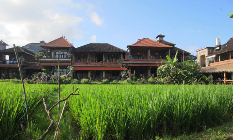 danasari homestay